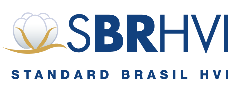 Logo SBRHVI